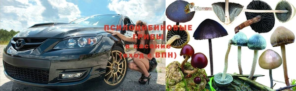 каннабис Баксан
